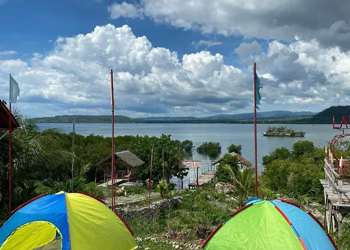 Wjv Moalboal *
